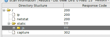 Resultados dirbuster