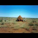 Outback termite mound