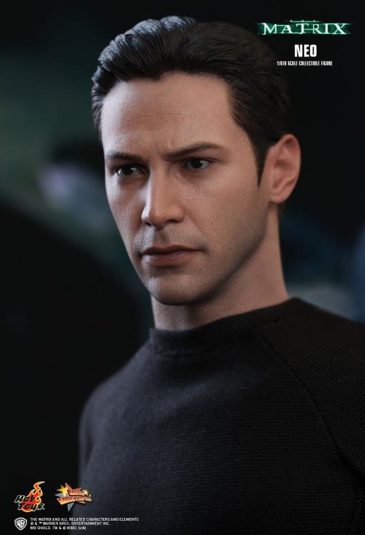 Hot Toys MMS466 The Matrix Neo 1/6th Scale Collectible Figure