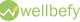 Logo för system Wellbefy
