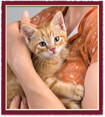 General Information for austin Pet Owners