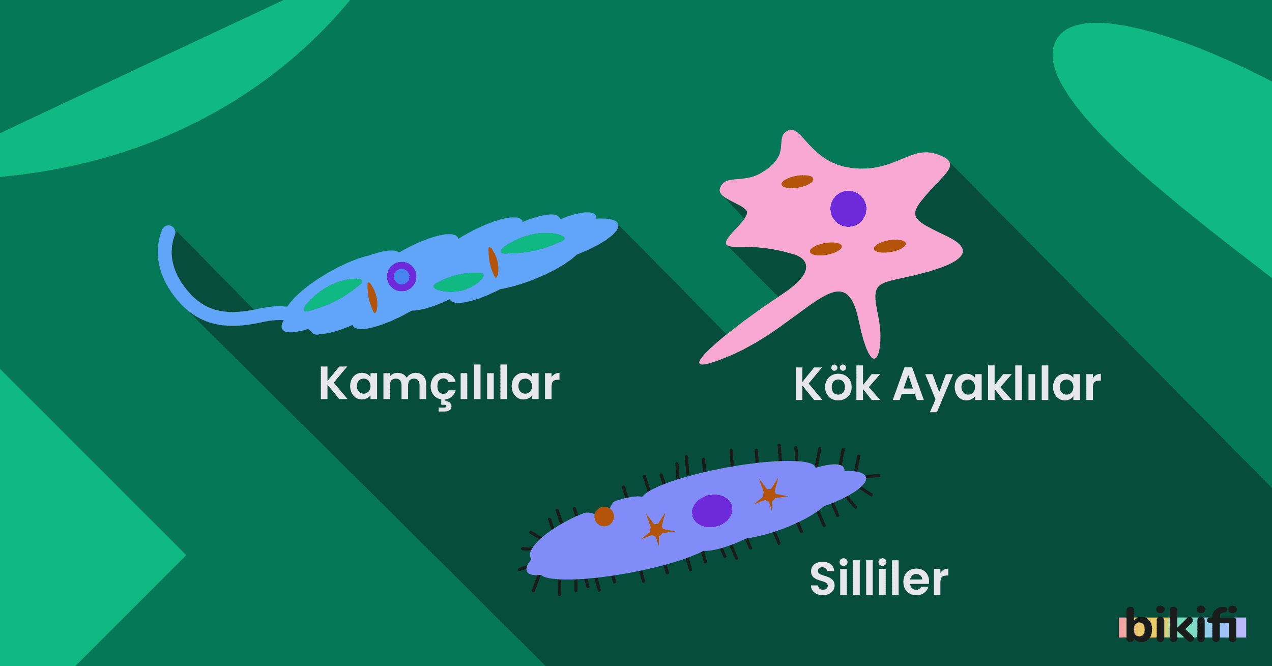 Canlılar Dünyası