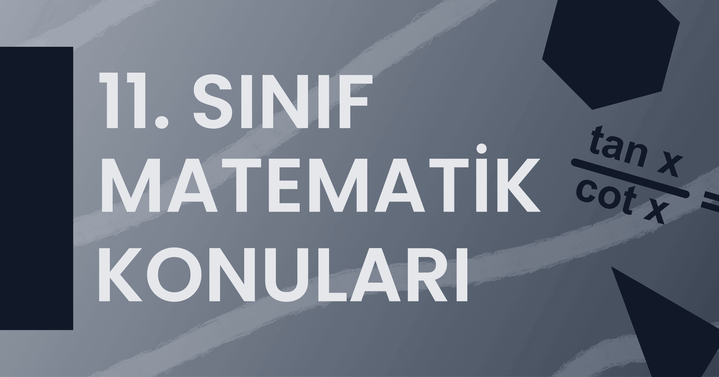 11. Sınıf Matematik Konuları