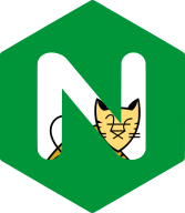 Tomcat X Nginx: Reverse Proxy