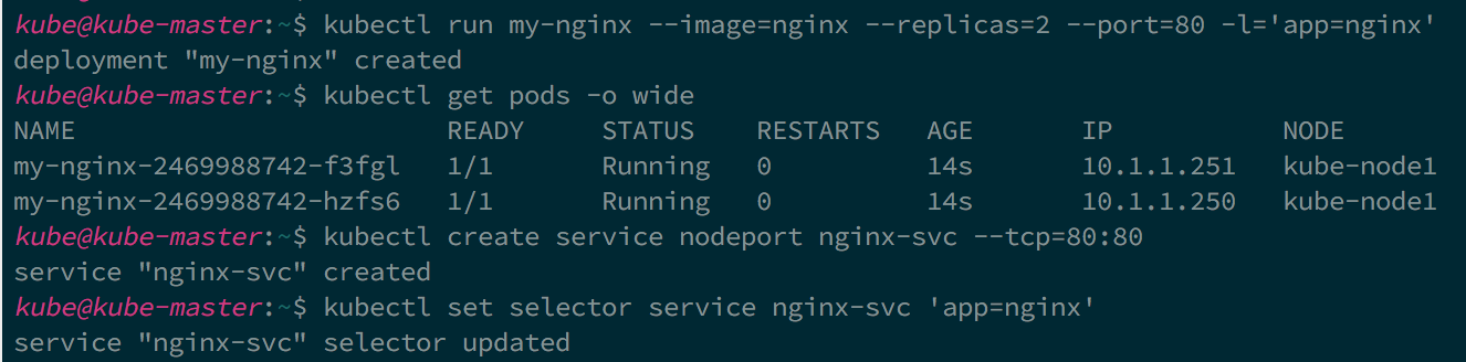 pod and service selector
