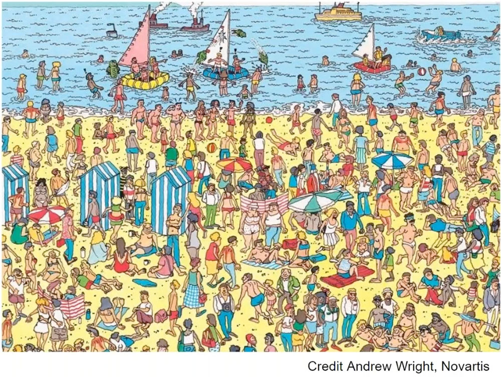 A scene from Where's Waldo? with a beach packed with people