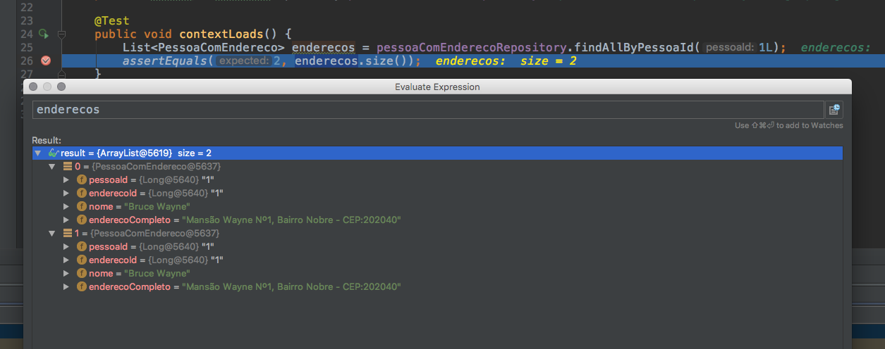 Intellij mostrando o registro duplicado