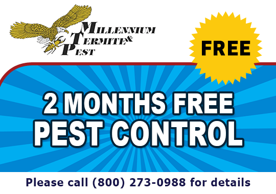 2 Months Free Pest Control - Call For Details