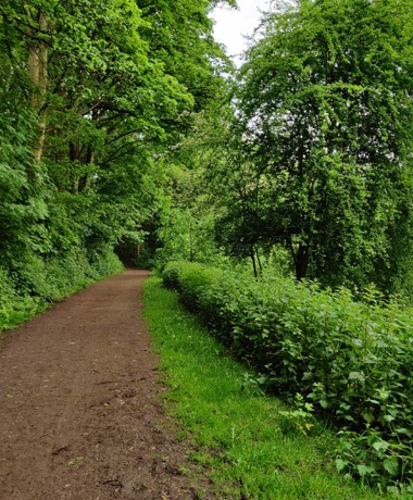 Woodhouse Ridge path
