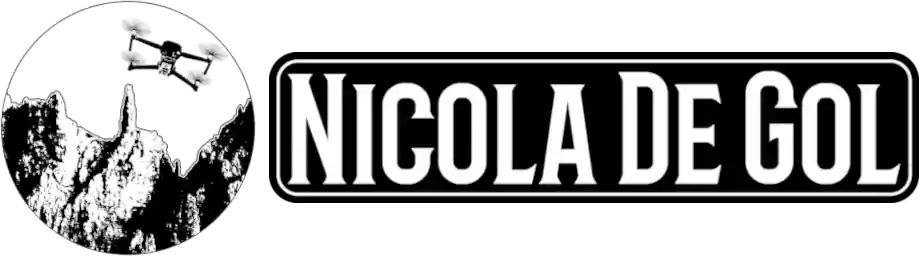 logo Nicola De Gol orizzontale