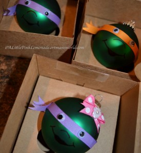 Turtle Ornaments packaged