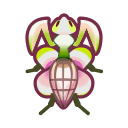 Orchid Mantis