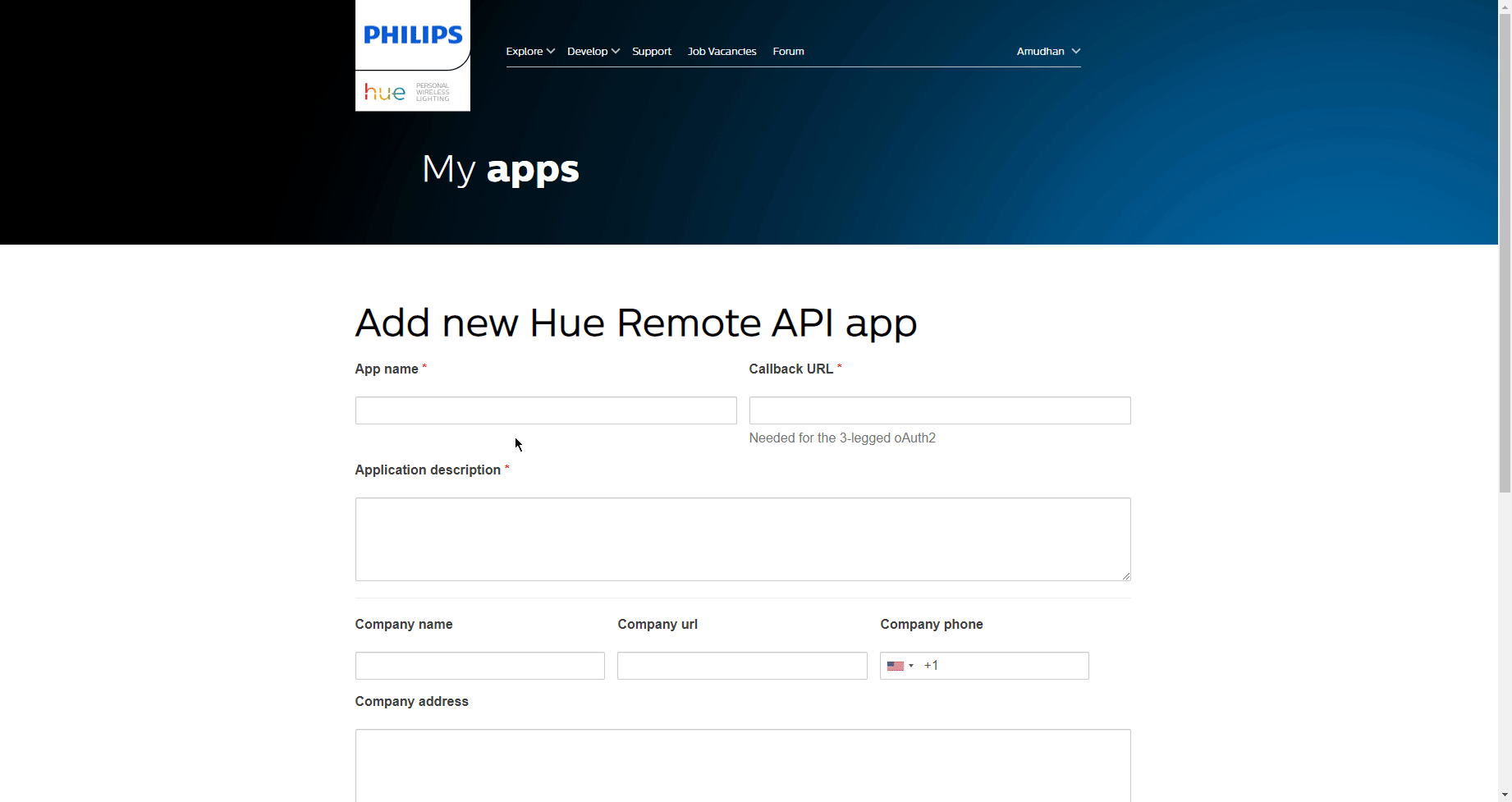 Getting Philips Hue credentials