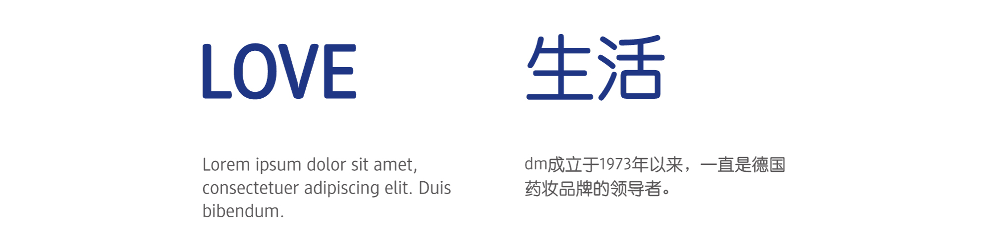 dm_web