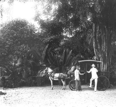 A horse-drawn carriage, 1900s