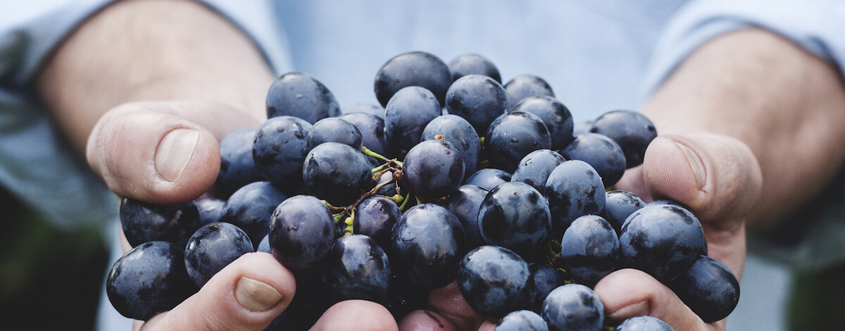 Grapes