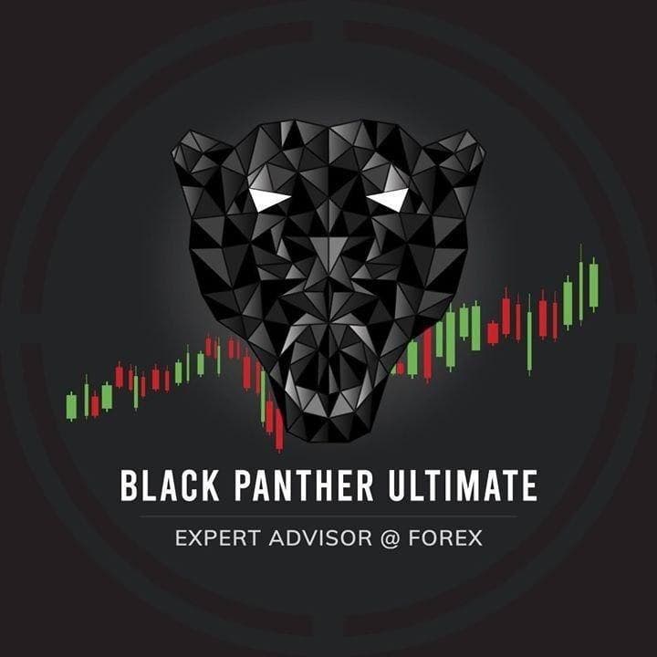 Black Panther 2020 Expert