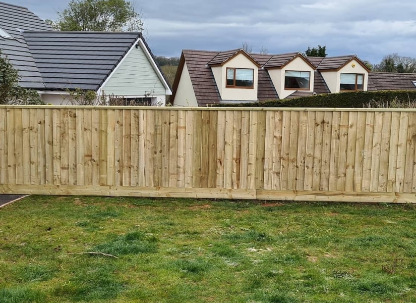 Fencing and Plant Removal Project