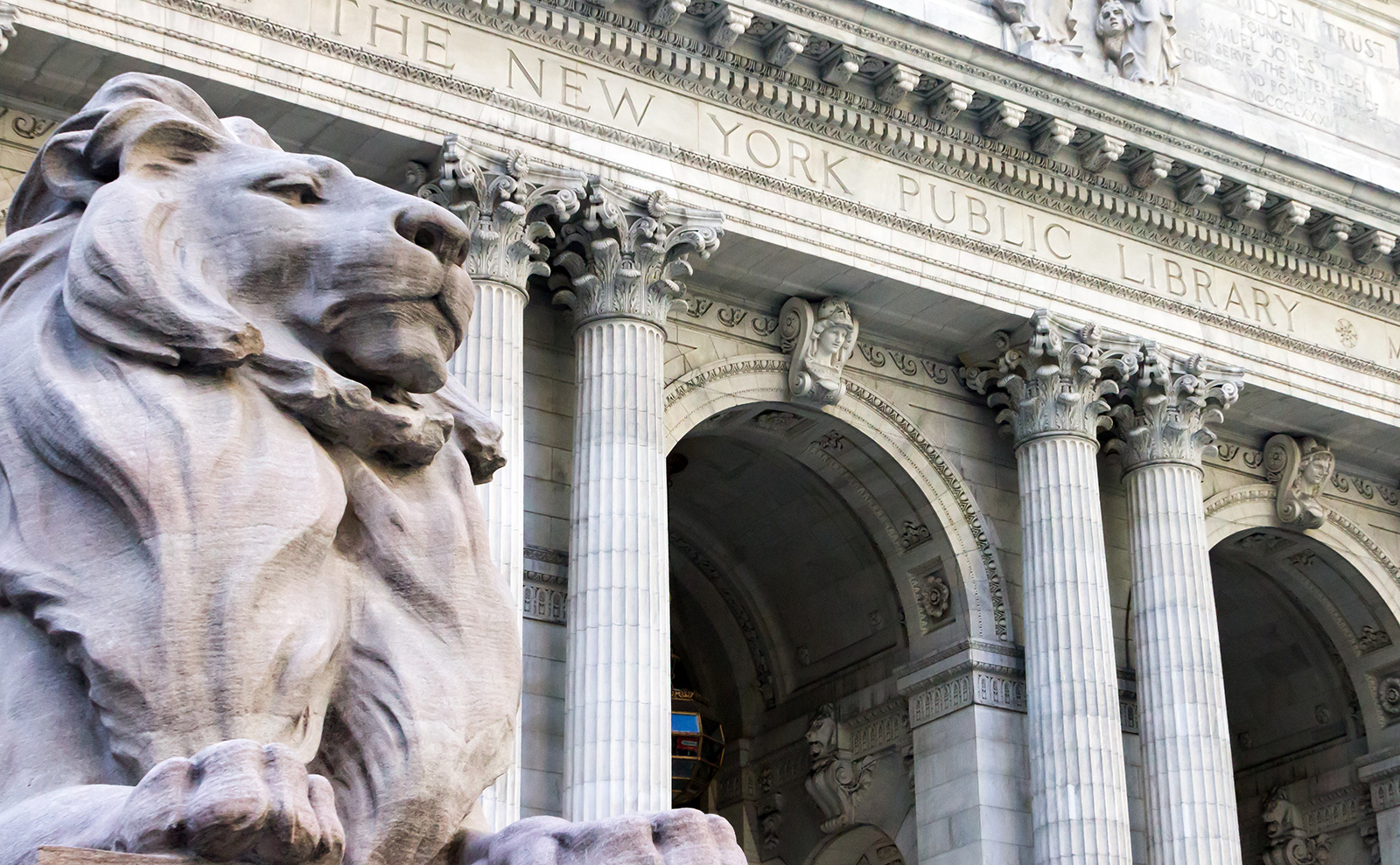 lion statue in front of the new york public library
