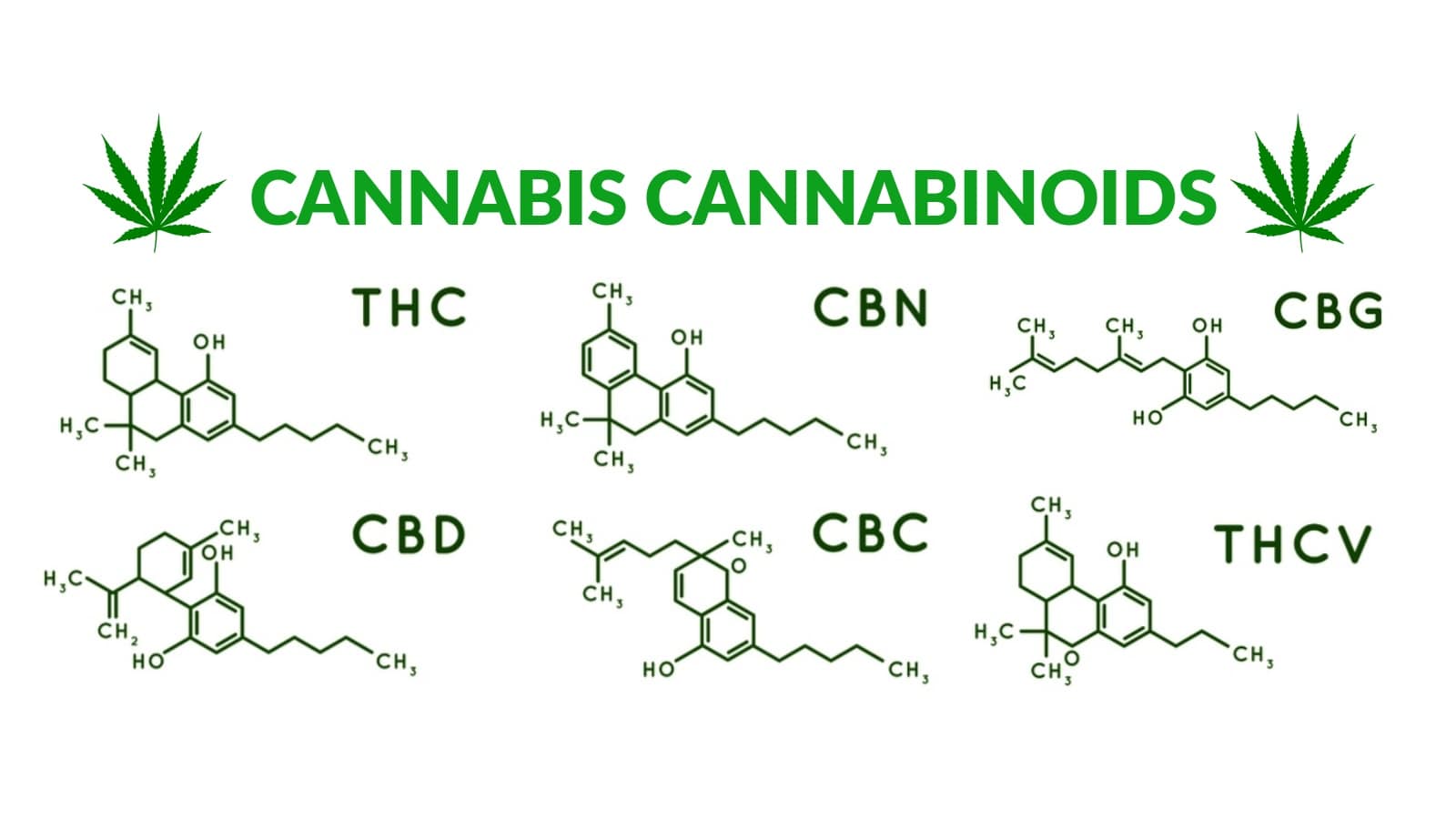 What Are Cannabinoids?