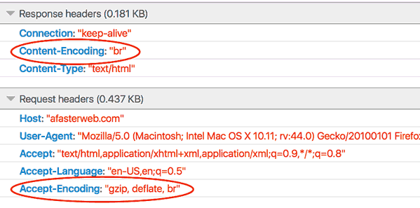 Request and Response Headers in Firefox