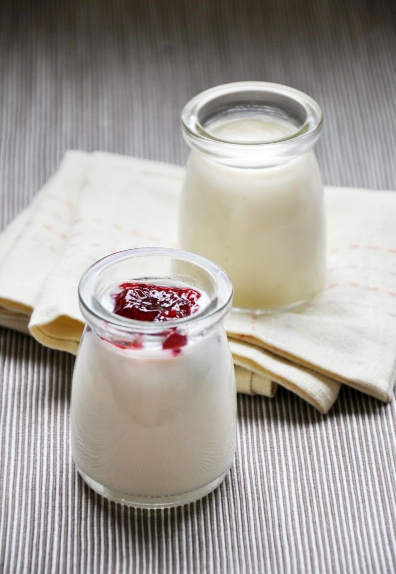 Homemade Non-dairy Yogurt