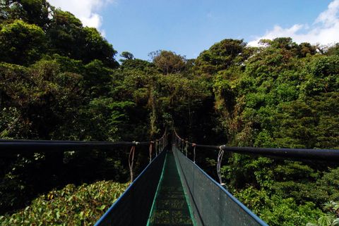 Monteverde Tours - Sky Walk Suspension Bridges