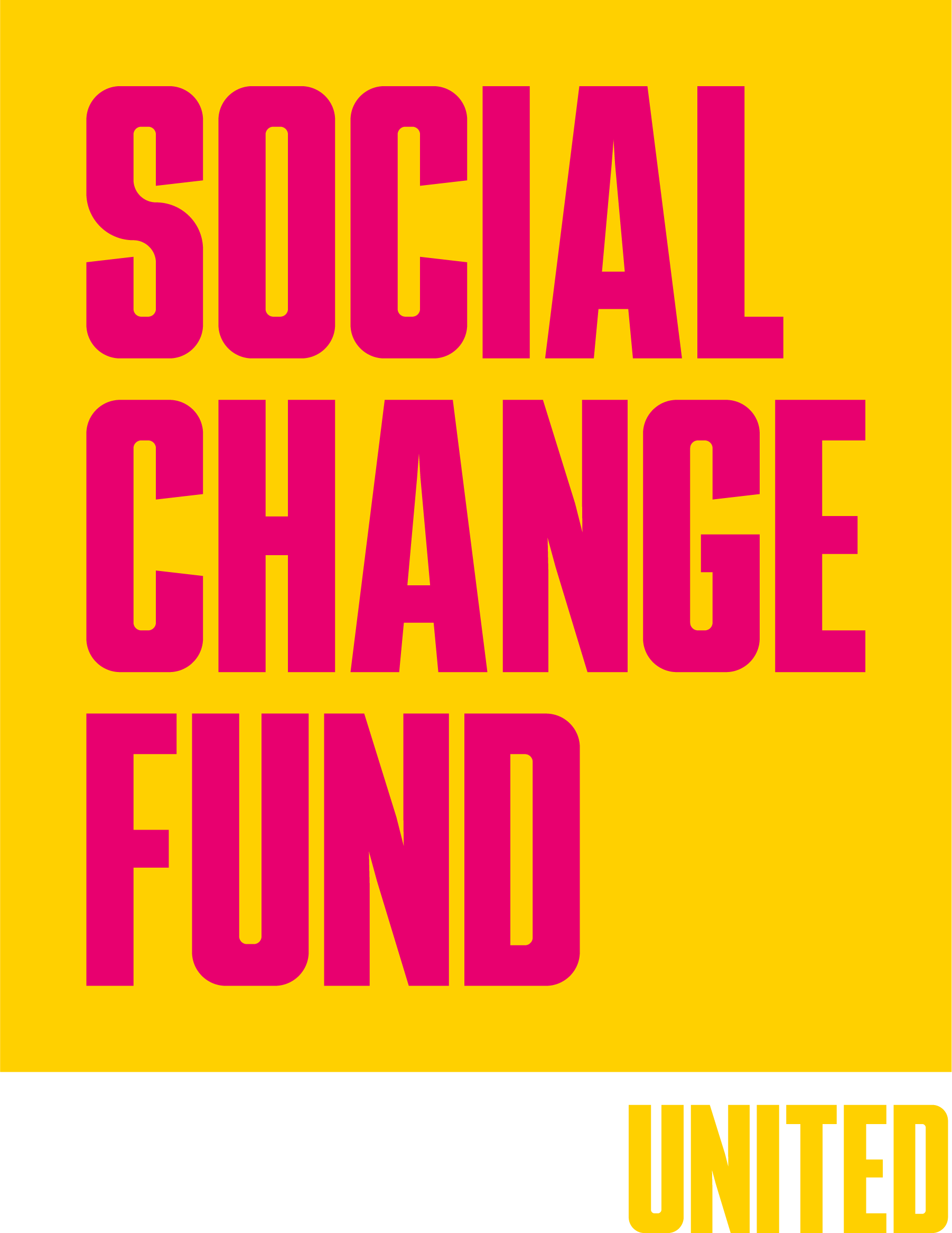 The Social Change Fund