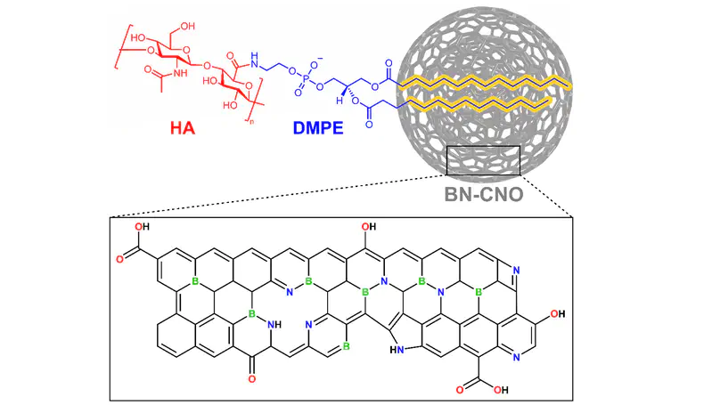 Supramolecular Functionalisation of B/N Co-Doped Carbon Nano-Onions for Novel Nanocarrier Systems