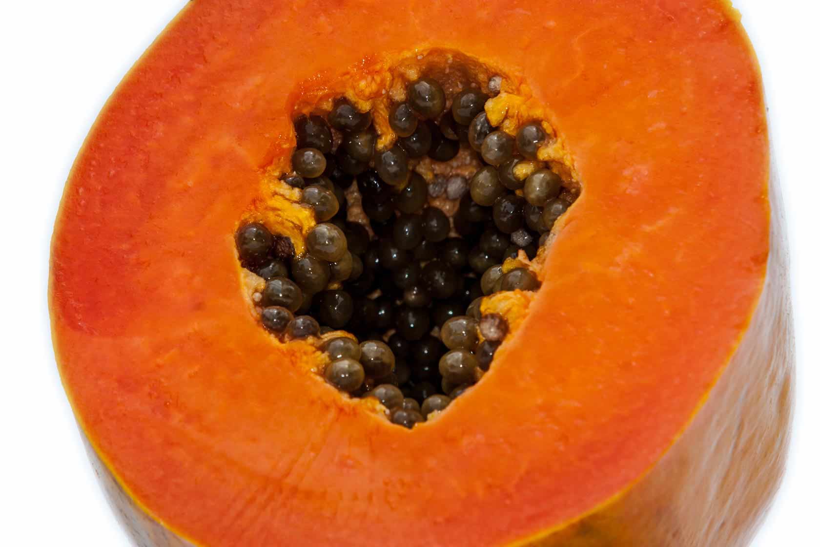 Papaya