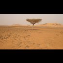 Sudan Desert Walk 15