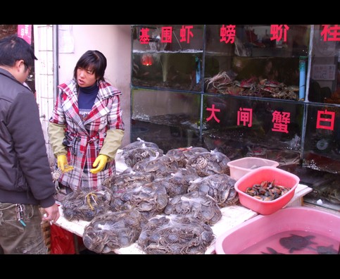 China Fish Markets 15