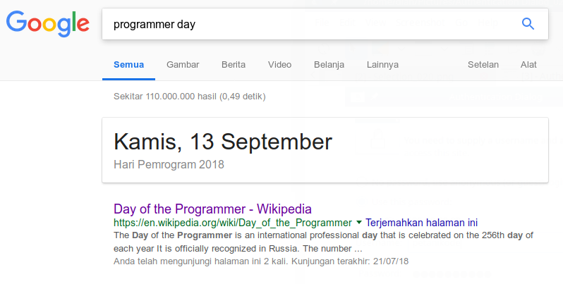 Hari programmer dari google