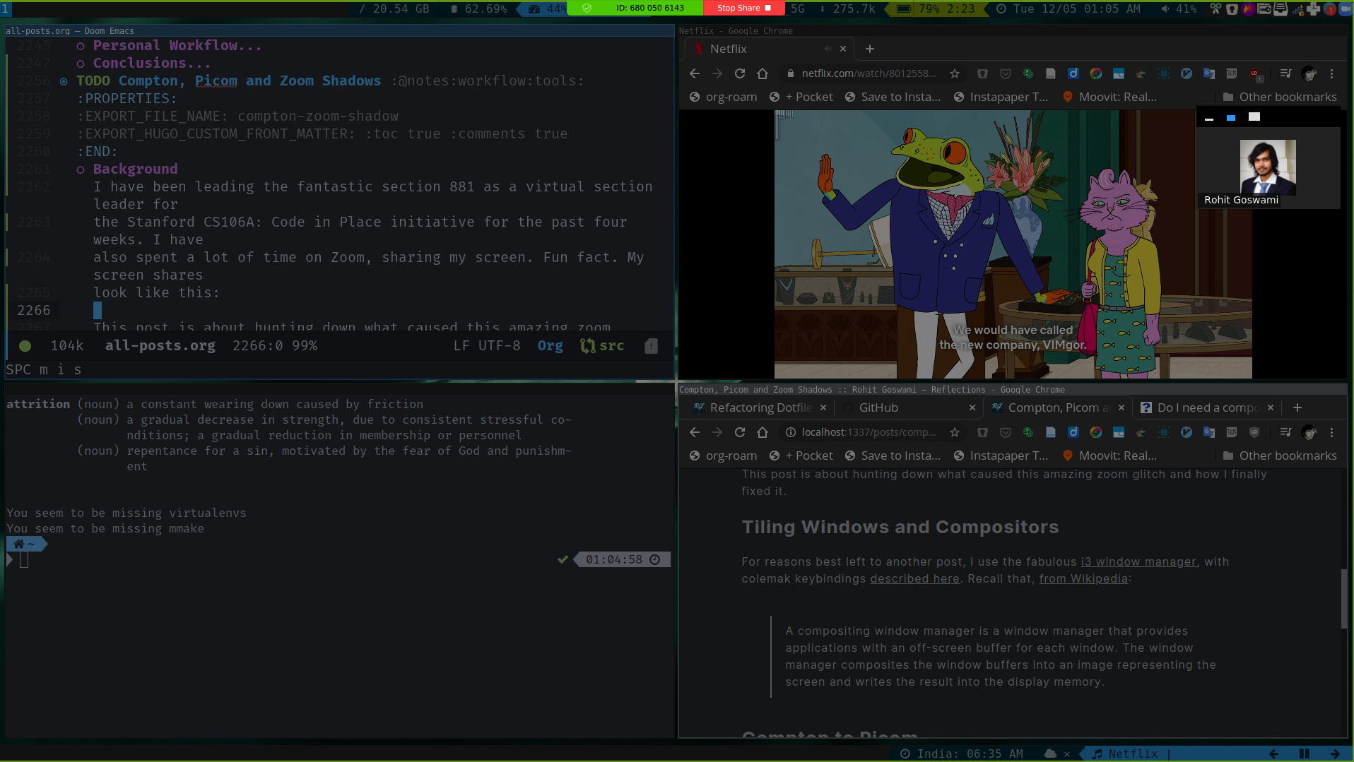 Figure 1: Zoom screen share with weird overlay