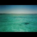 Coral Bay snorkelling 8