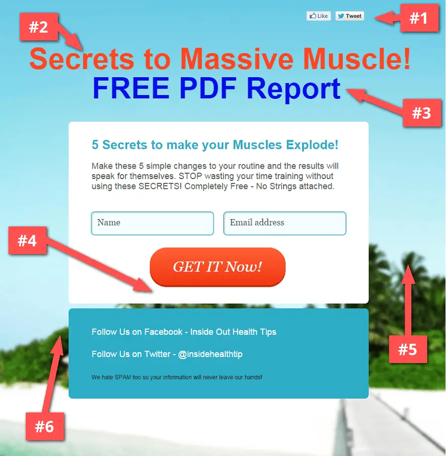 Massive_Muscles_Free_Report_-_massivemusclesfreereport_gr8_com