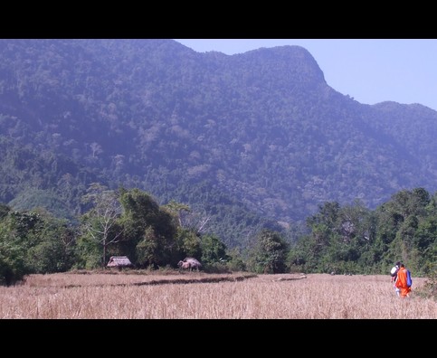 Laos Muang Ngoi Trekking 19