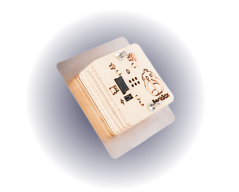 BeakBox Interactive & Safe Musical Parrot Toys