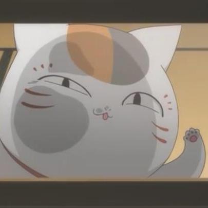 A cat named musa