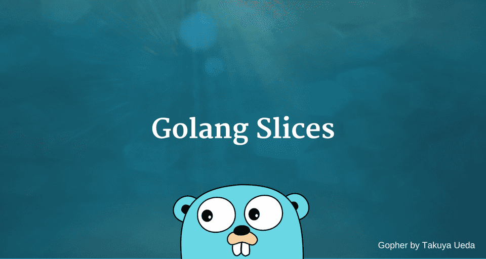 Introduction to Slices in Golang