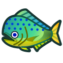 Mahi-mahi