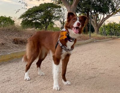Alyx sonriendo a la cámara.