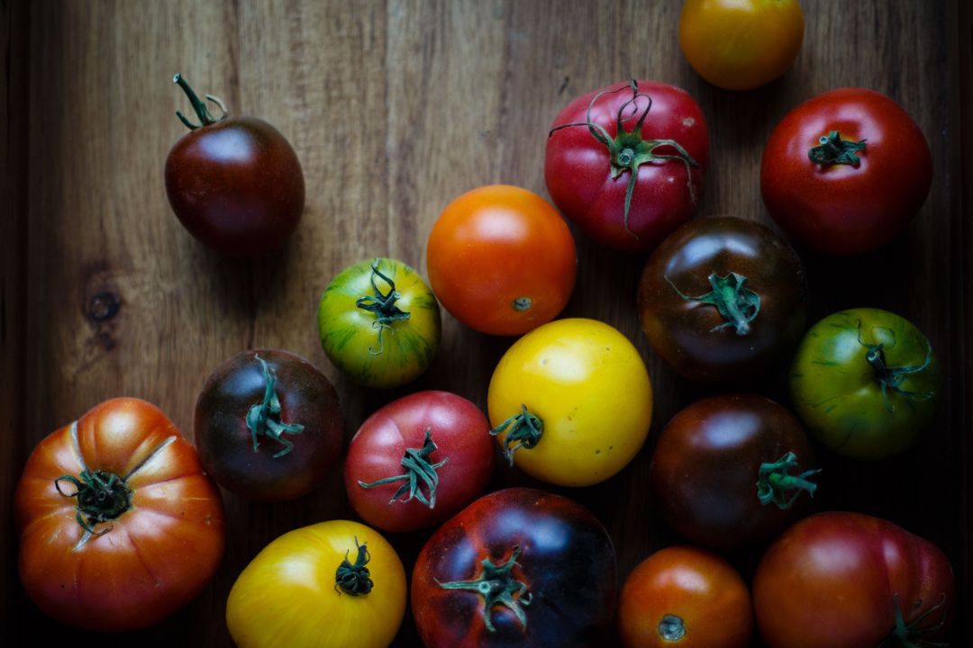 Tomatoes in a variety of colors