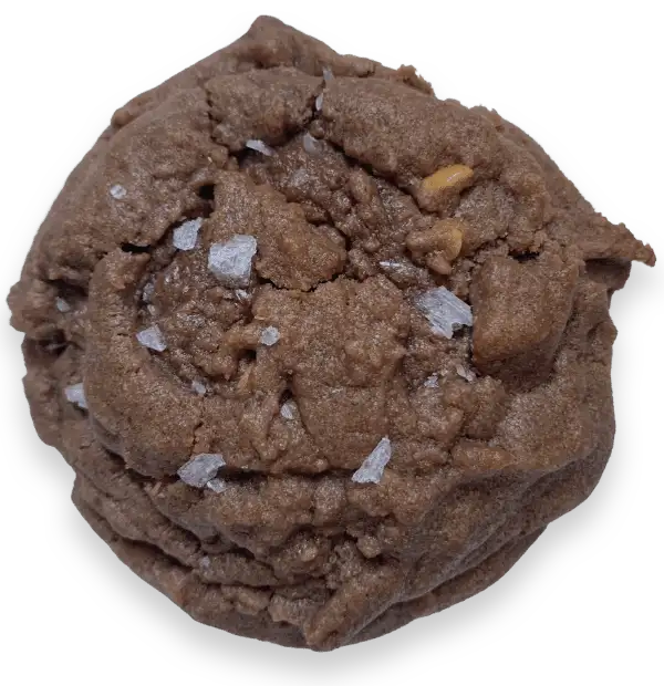 A Chocolate Peanut Butter cookie