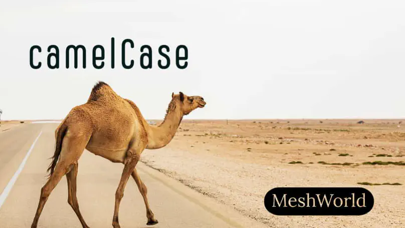How to convert string to `camelCase` in Laravel