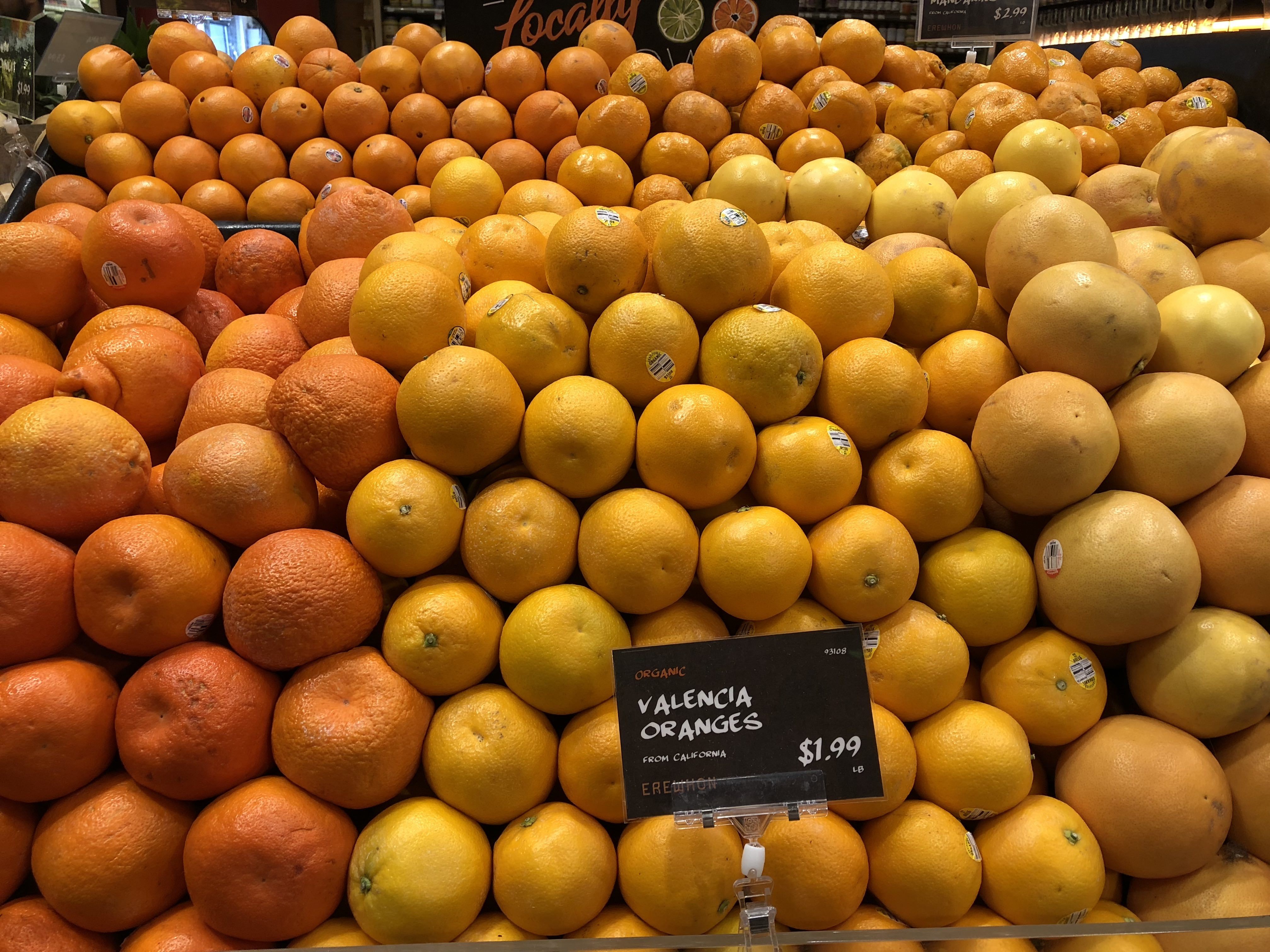 Citrus selection at erewhon