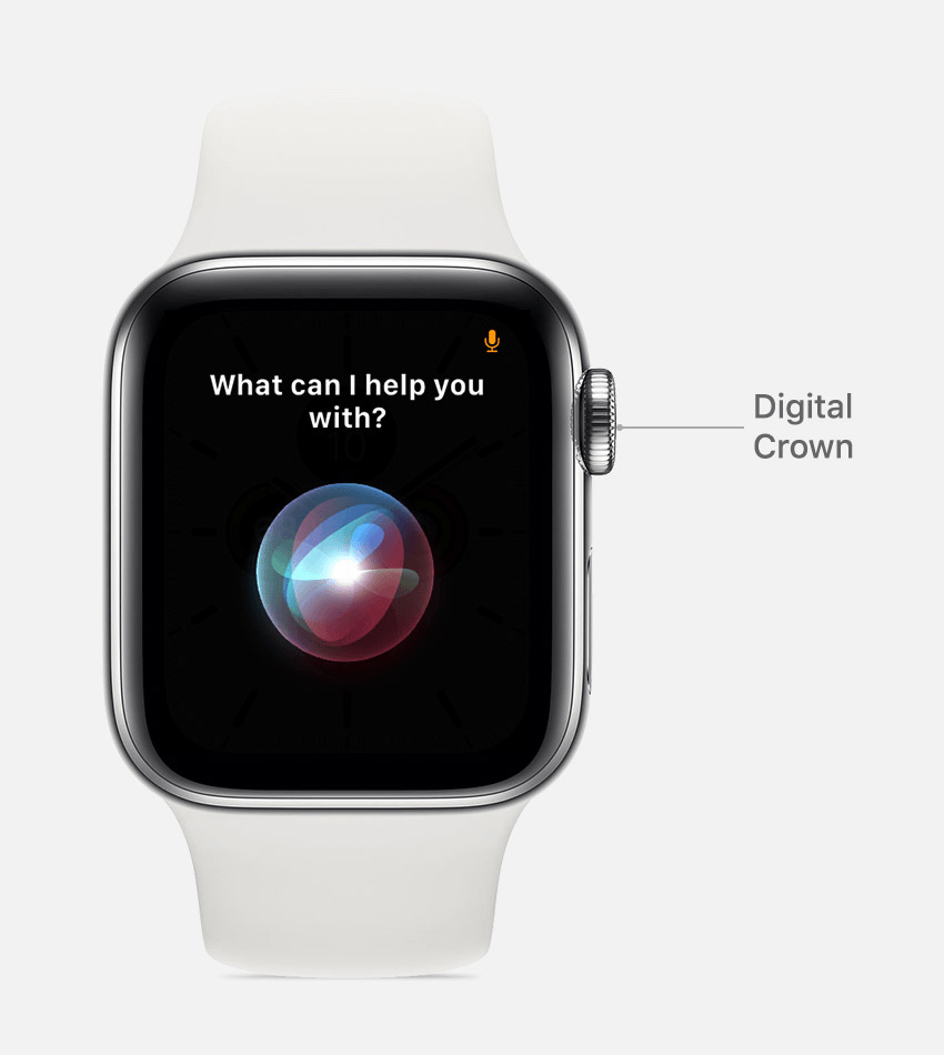 Siri asking: What can I help you with on an apple watch.