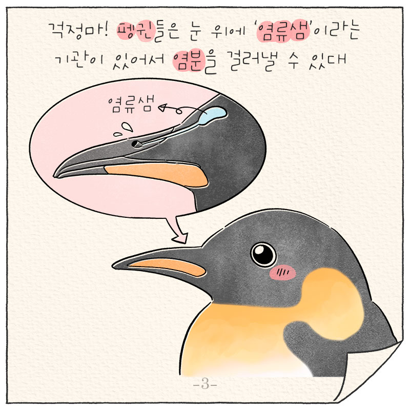 새의 부리 확대