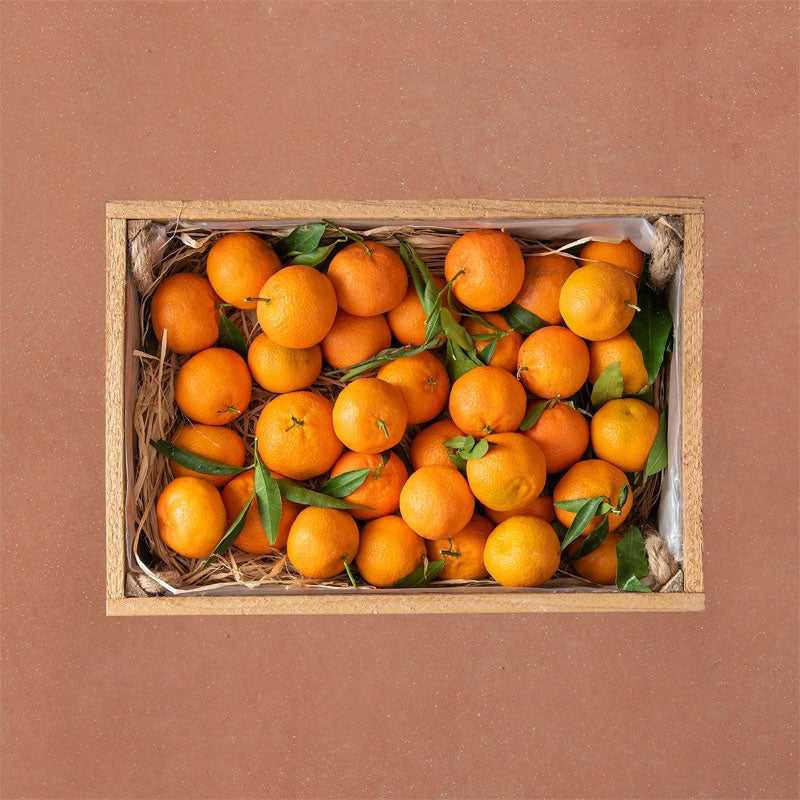 Mandarines de Chios 4kg