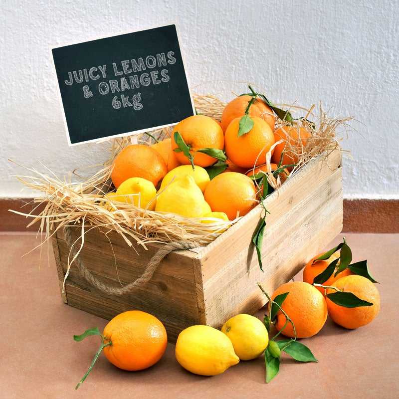 fruit-box-of-fresh-greek-oranges-and-lemons-6kg-argolida-aigio
